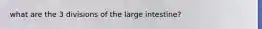 what are the 3 divisions of the large intestine?