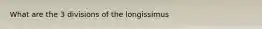 What are the 3 divisions of the longissimus