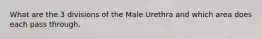 What are the 3 divisions of the Male Urethra and which area does each pass through.