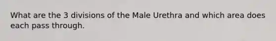 What are the 3 divisions of the Male Urethra and which area does each pass through.