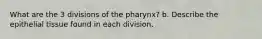 What are the 3 divisions of the pharynx? b. Describe the epithelial tissue found in each division.