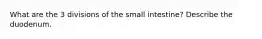 What are the 3 divisions of the small intestine? Describe the duodenum.