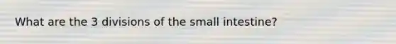 What are the 3 divisions of the small intestine?