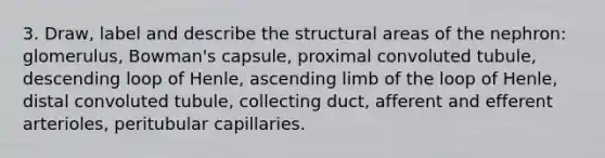 3. Draw, label and describe the structural areas of the nephron: glomerulus, Bowman's capsule, proximal convoluted tubule, descending loop of Henle, ascending limb of the loop of Henle, distal convoluted tubule, collecting duct, afferent and efferent arterioles, peritubular capillaries.