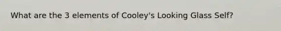 What are the 3 elements of Cooley's Looking Glass Self?