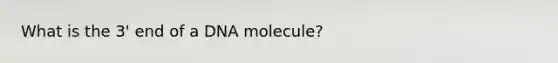 What is the 3' end of a DNA molecule?