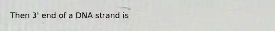 Then 3' end of a DNA strand is