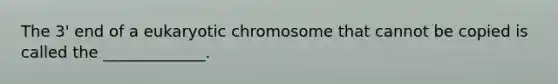 The 3' end of a eukaryotic chromosome that cannot be copied is called the _____________.