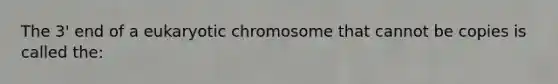 The 3' end of a eukaryotic chromosome that cannot be copies is called the: