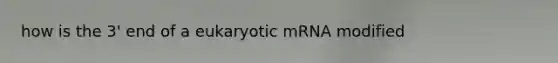 how is the 3' end of a eukaryotic mRNA modified