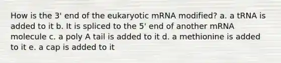 How is the 3' end of the eukaryotic mRNA modified? a. a tRNA is added to it b. It is spliced to the 5' end of another mRNA molecule c. a poly A tail is added to it d. a methionine is added to it e. a cap is added to it