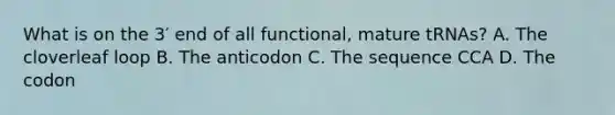 What is on the 3′ end of all functional, mature tRNAs? A. The cloverleaf loop B. The anticodon C. The sequence CCA D. The codon