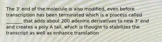 The 3' end of the molecule is also modified, even before transcription has been terminated which is a process called _______ that adds about 200 adenine derivatives to new 3' end and creates a poly A tail, which is thought to stabilizes the transcript as well as enhance translation