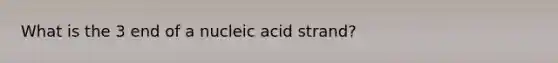 What is the 3 end of a nucleic acid strand?