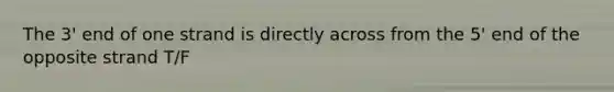 The 3' end of one strand is directly across from the 5' end of the opposite strand T/F