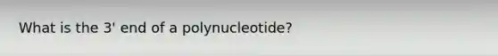 What is the 3' end of a polynucleotide?