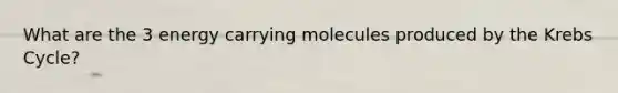 What are the 3 energy carrying molecules produced by the <a href='https://www.questionai.com/knowledge/kqfW58SNl2-krebs-cycle' class='anchor-knowledge'>krebs cycle</a>?