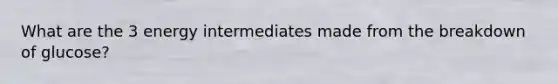 What are the 3 energy intermediates made from the breakdown of glucose?