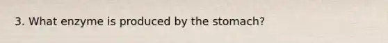 3. What enzyme is produced by the stomach?