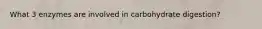 What 3 enzymes are involved in carbohydrate digestion?