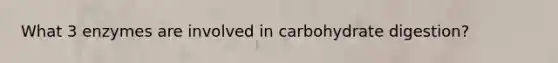 What 3 enzymes are involved in carbohydrate digestion?