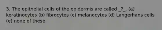 3. The epithelial cells of the epidermis are called _?_. (a) keratinocytes (b) fibrocytes (c) melanocytes (d) Langerhans cells (e) none of these