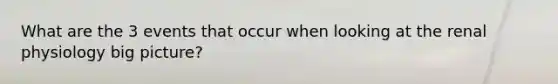 What are the 3 events that occur when looking at the renal physiology big picture?