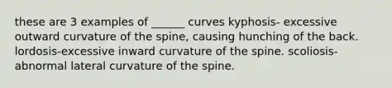 these are 3 examples of ______ curves kyphosis- excessive outward curvature of the spine, causing hunching of the back. lordosis-excessive inward curvature of the spine. scoliosis-abnormal lateral curvature of the spine.