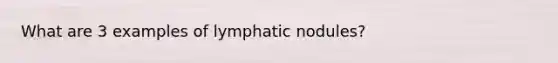 What are 3 examples of lymphatic nodules?