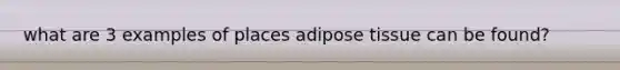 what are 3 examples of places adipose tissue can be found?