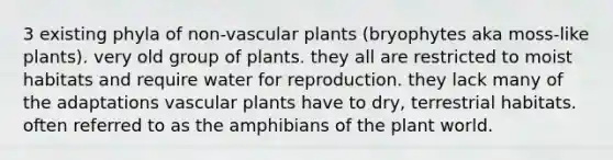 3 existing phyla of non-vascular plants (bryophytes aka moss-like plants). very old group of plants. they all are restricted to moist habitats and require water for reproduction. they lack many of the adaptations vascular plants have to dry, terrestrial habitats. often referred to as the amphibians of the plant world.