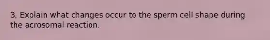 3. Explain what changes occur to the sperm cell shape during the acrosomal reaction.