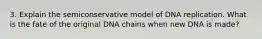 3. Explain the semiconservative model of DNA replication. What is the fate of the original DNA chains when new DNA is made?