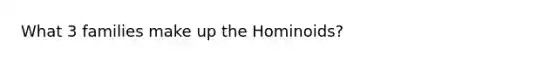 What 3 families make up the Hominoids?