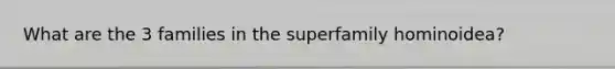 What are the 3 families in the superfamily hominoidea?