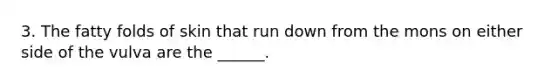 3. The fatty folds of skin that run down from the mons on either side of the vulva are the ______.