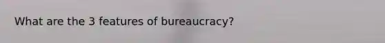 What are the 3 features of bureaucracy?