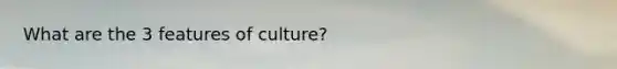 What are the 3 features of culture?