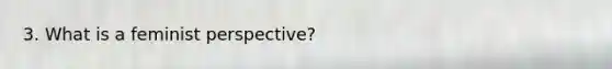 3. What is a feminist perspective?