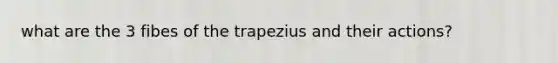 what are the 3 fibes of the trapezius and their actions?