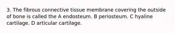 3. The fibrous connective tissue membrane covering the outside of bone is called the A endosteum. B periosteum. C hyaline cartilage. D articular cartilage.