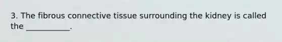 3. The fibrous connective tissue surrounding the kidney is called the ___________.