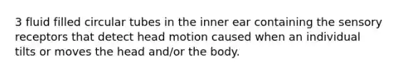 3 fluid filled circular tubes in the inner ear containing the sensory receptors that detect head motion caused when an individual tilts or moves the head and/or the body.