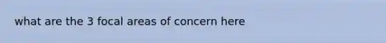 what are the 3 focal areas of concern here