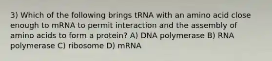 3) Which of the following brings tRNA with an amino acid close enough to mRNA to permit interaction and the assembly of amino acids to form a protein? A) DNA polymerase B) RNA polymerase C) ribosome D) mRNA