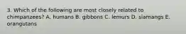 3. Which of the following are most closely related to chimpanzees? A. humans B. gibbons C. lemurs D. siamangs E. orangutans