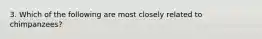 3. Which of the following are most closely related to chimpanzees?