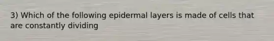 3) Which of the following epidermal layers is made of cells that are constantly dividing