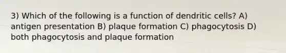 3) Which of the following is a function of dendritic cells? A) antigen presentation B) plaque formation C) phagocytosis D) both phagocytosis and plaque formation