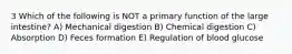 3 Which of the following is NOT a primary function of the large intestine? A) Mechanical digestion B) Chemical digestion C) Absorption D) Feces formation E) Regulation of blood glucose